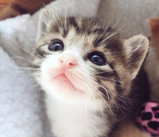 學(xué)習(xí)CAD！每天五個(gè)小技巧！這個(gè)系列趕快收藏！